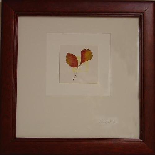 Leaves as Art, framed for you!